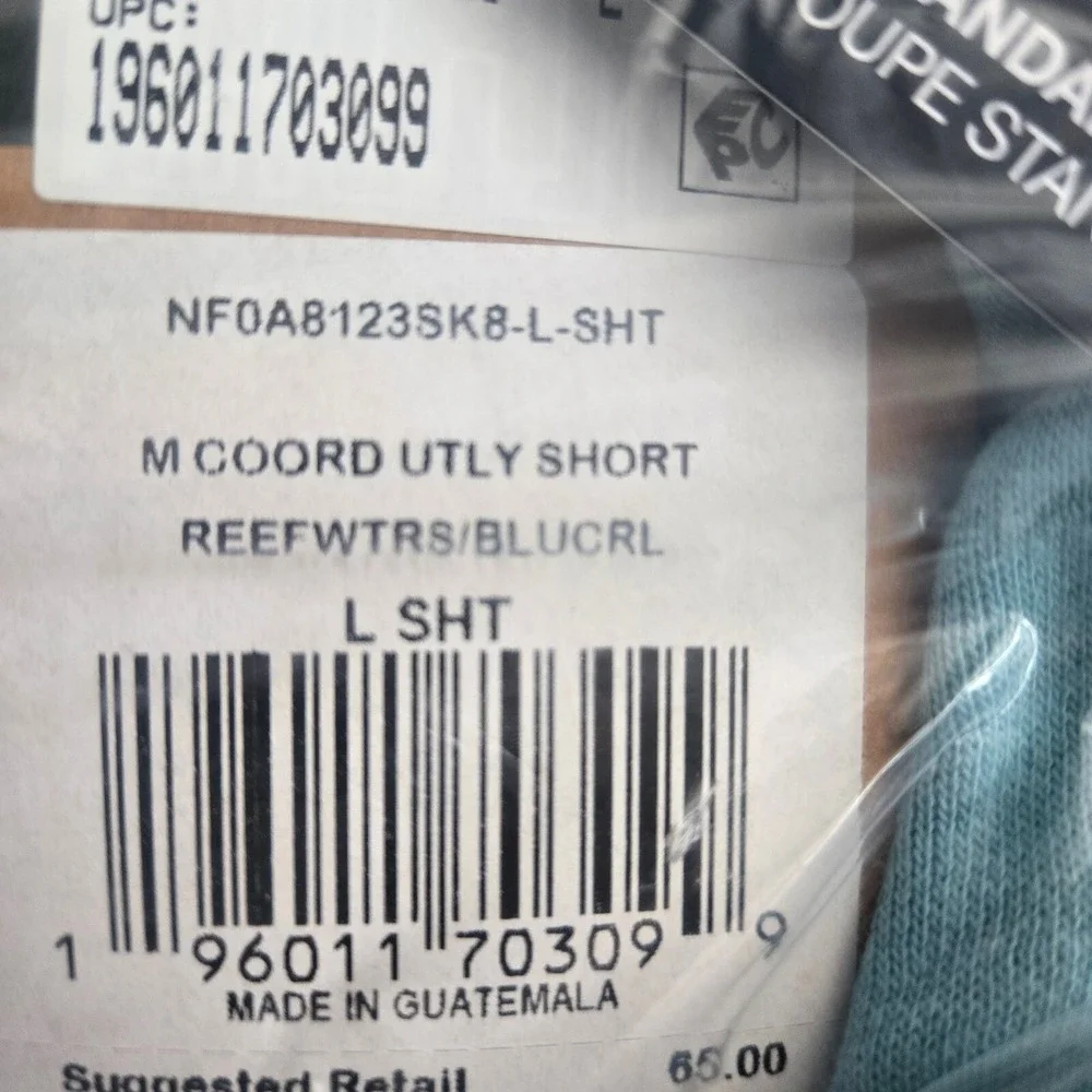The North Face Mens Size L Utility Cargo Reef Waters Blue Coral Paramount Shorts